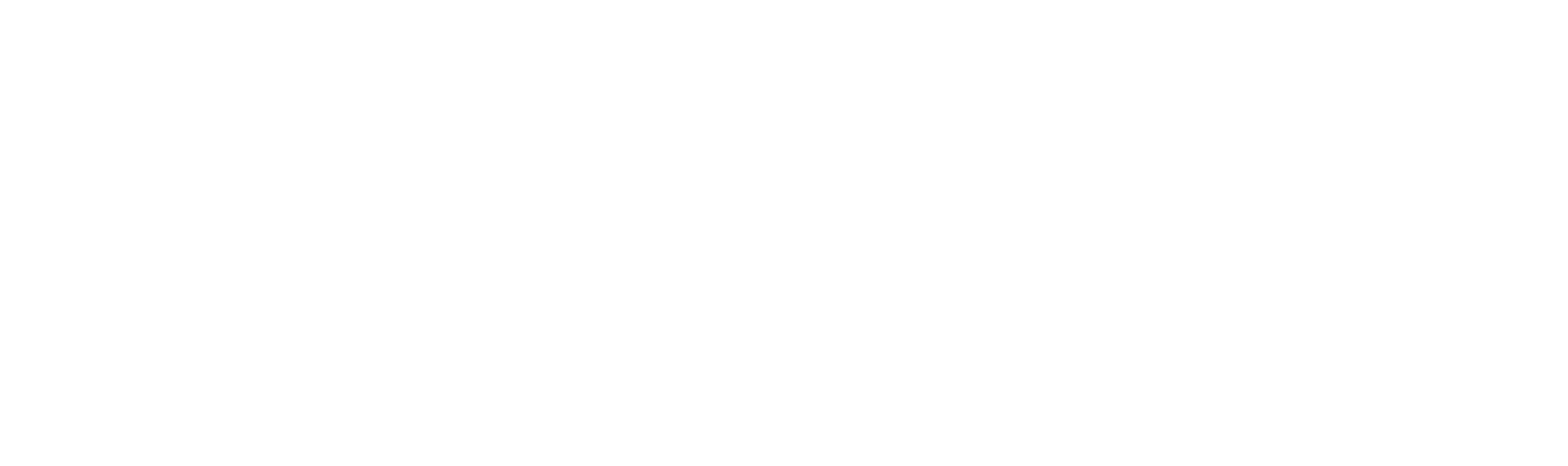 Primary Logo